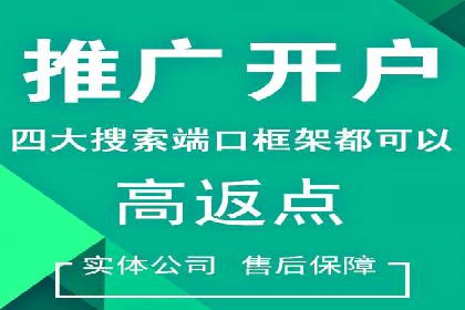 SEM推广公司案例：打造高效营销体系