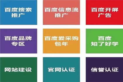 SEM竞价托管代运营成功案例解析